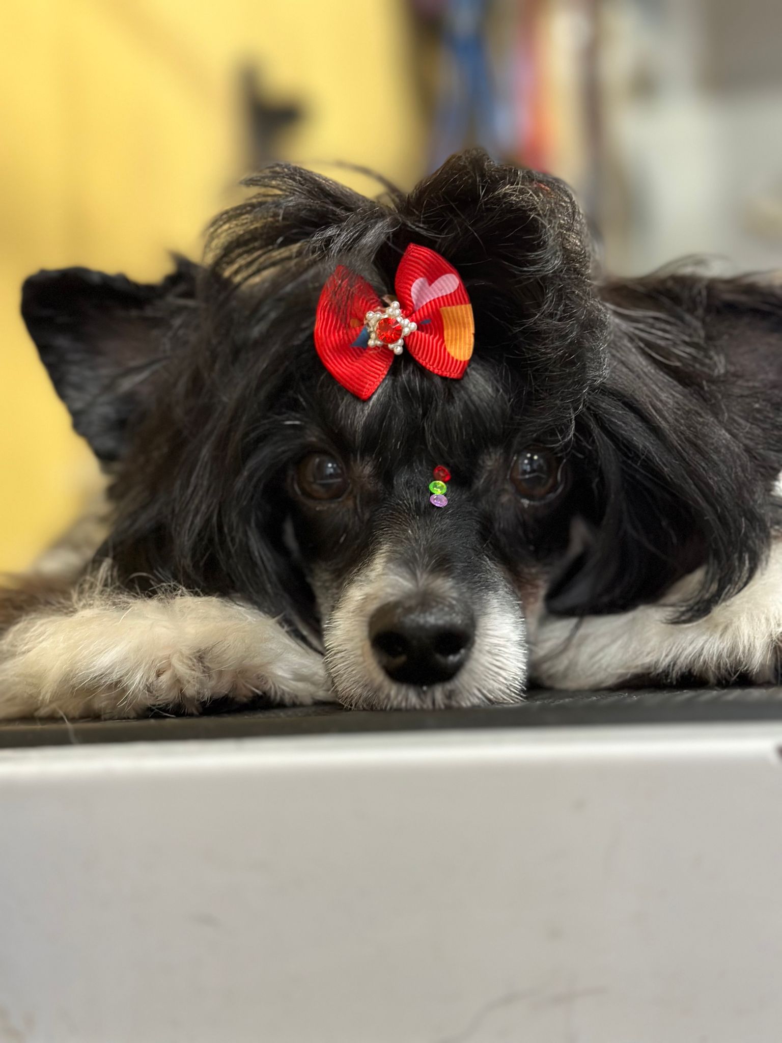 Imagen 6 de la galería